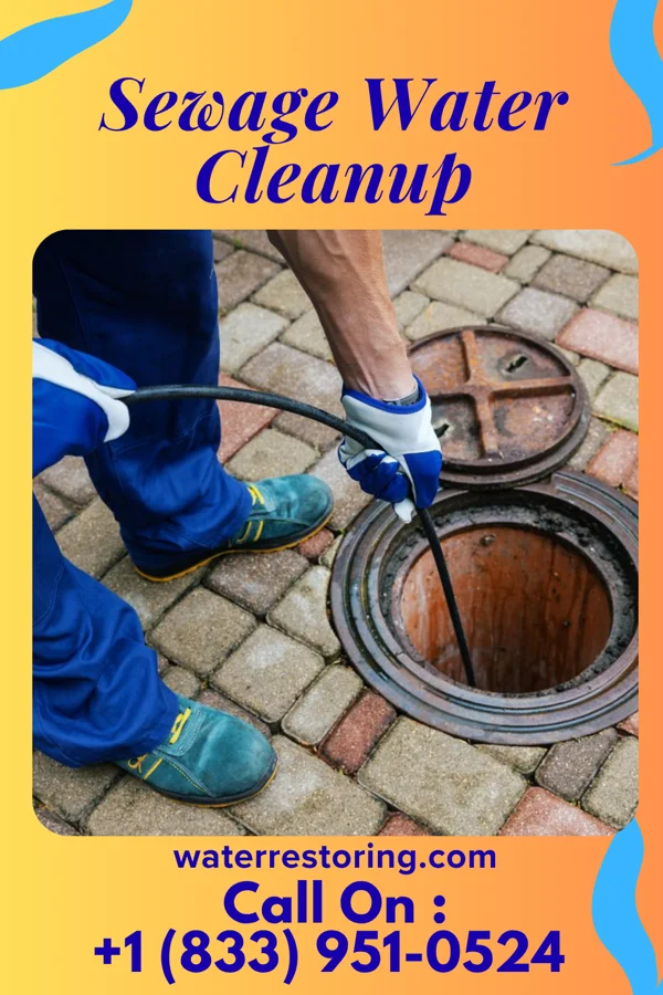 Sewage Water Cleanup in Palisade, NE